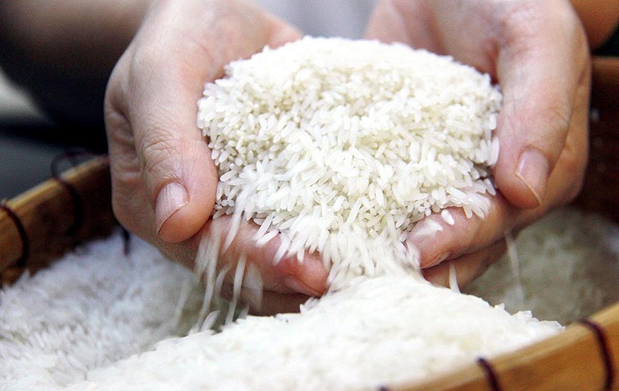 Các loại gạo ngon chính hãng cho bữa cơm gia đình thêm ngon miệng